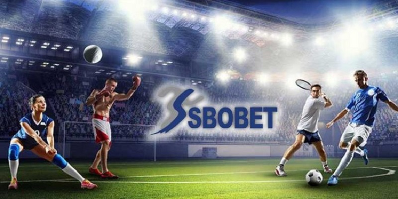 Vài điều trực quan về SBOBET Vin777 cho tân thủ