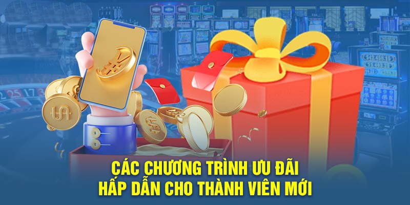 Các chương trình ưu đãi hấp dẫn cho thành viên mới